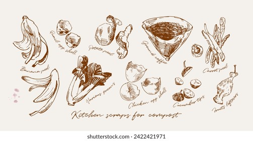 Hand drawn illustration of food scraps suitable for composting. Reducing waste concept