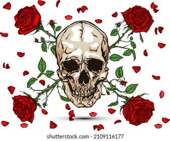 Hand drawn illustration of four crossed red roses and skull with falling petals in tattoo style design.