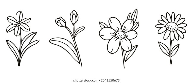 Hand drawn illustration of four delicate flowers in black and white.