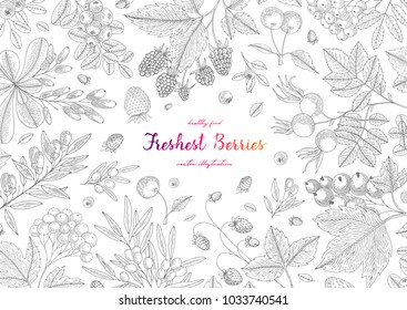 Hand drawn illustration frame with currant, cranberry, goji berries, raspberry, and etc. Summer or autumn template design for label, design menu, recipes, poster, packaging design, wrapping paper.