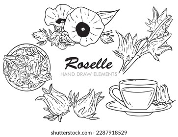 Hand Drawn Illustration of Fresh Hibiscus Sabdariffa or Roselle Plant with Flowers,blooming flowers, dried roselle flowers and roselle tea.
Botanical illustration for packaging, menu cards, posters.