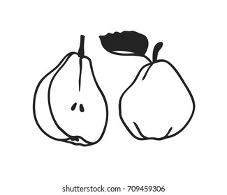Hand drawn illustration  fruit. Creative ink art work. Actual vector drawing pear