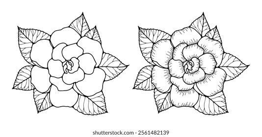 Hand drawn illustration of gardenia flower with leaves isolated on white background. Vector floral illustration