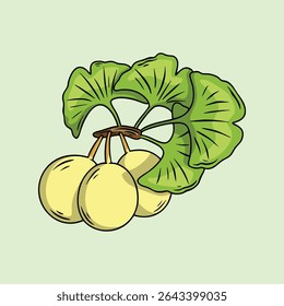 Hand drawn illustration of Ginkgo biloba with leaves and fruits