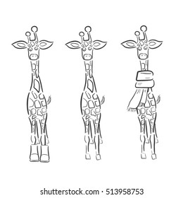 Hand drawn Illustration of Giraffe  isolated on white background. giraffe isolated, giraffe vector, giraffe cartoon, giraffe print, giraffe head, giraffe skin