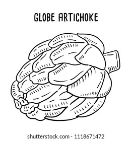 Hand drawn illustration of globe artichoke.