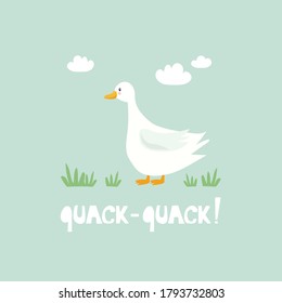 Hand drawn illustration with goose, grass and english text. Quack - quack! Colorful background. Poster design with birds. Decorative backdrop vector. Funny card