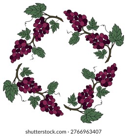 Hand drawn illustration of grape wreath in elegant botanical style. Decorative composition featuring grape clusters and leaves arranged in circular wreath shape. Natural and organic design 