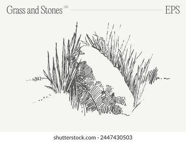 Hand drawn illustration of grass and rocks, sketch