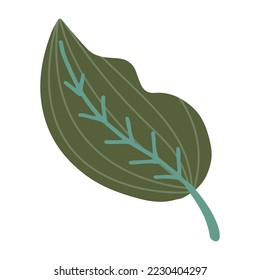 Handgezeichnete Illustration von grünem Blatt. Dekoratives florales Element im Doodstil