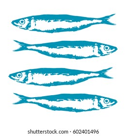 Hand Drawn Illustration a Group of sardines, Sardina pilchardus, Blue on white