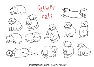 Hand drawn illustration of grumpy cats with collar and bell, sitting like human, running, jumping, sleeping and licking their back