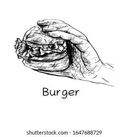 Hand drawn illustration of hamburger. tasty popular food, fast food complex, retro style vector image. painted burger, great delicious sandwich on white background