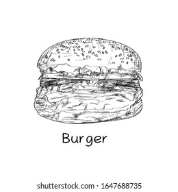 Hand drawn illustration of hamburger. tasty popular food, fast food complex, retro style vector image. painted burger, great delicious sandwich on white background