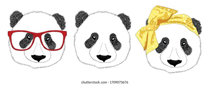 Hand drawn illustration of the head of a panda girl with a bow in the style of the 60s and a panda man in a tie, set. Isolated cute fashion portrait on white background.