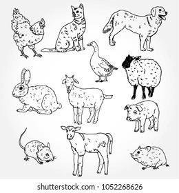 Hand Drawn Illustration of Home Animals