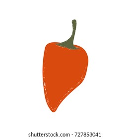 Hand drawn illustration of  hot pepper. Vector.