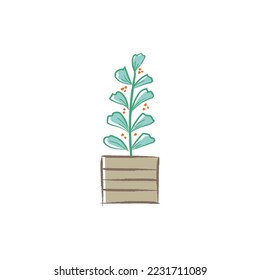 Hand drawn Illustration of house plant on clay pot. Cute children art. Cartoon style hand drawn decorative, indoor, green, houseplant  for poster icon