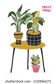 Hand drawn illustration with house plants and table. Vector design. Modern home decor in scandinavian style.