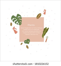 Hand drawn illustration of houseplants such as alocasia, monstera and maranta, as well as with shovels and spray with text space on pink square and white background.