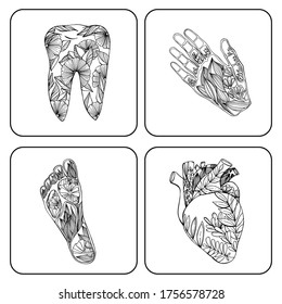 Hand drawn illustration of human organs. Medical photos. Human anatomy and health organ drawing. For medical banner, poster, textile, logo. Isolate, stock graphics