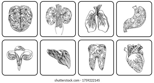 Hand drawn illustration of human organs. Medical photos. Human anatomy and health organ drawing. For medical banner, poster, textile, logo. Isolate, stock graphics