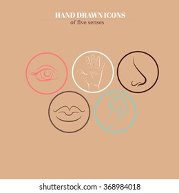 Hand drawn illustration of human senses made in line vector style. Template for business  card and banner