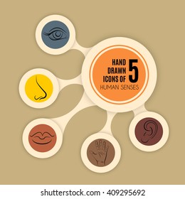 Hand Drawn Illustration Of Human Senses Made In Line Vector Style. Template For Businecc Card And Banner. Abstract Infographic In The Form Of Metabolic