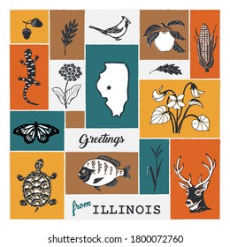 Hand drawn illustration with Illinois state symbols. Violets, deer, paited turtle, bluegill, bluestem,monarch, tiger salamander, cardinal bird, maize, apple, and oak leaf and acorn. Flora and fauna.