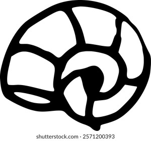 Hand drawn illustration of isolated clam shell