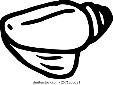 Hand drawn illustration of isolated seashell