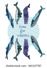  Hand drawn illustration. with isolated set of  whales on white background. Blue, sperm, humpback whales with lettering  " time for whales". Save the world.