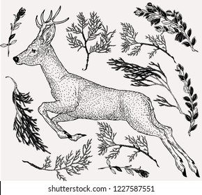 Hand drawn illustration of jumping deer in vintage style with evergreen branches on background. Retro styled template for greeting design.