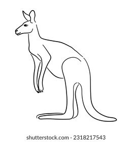 Hand drawn illustration of a kangaroo. Vector isolated on a white background.