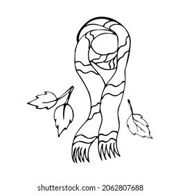Hand drawn illustration of knitted warm scarf in doodle style.