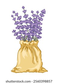 Hand drawn illustration of a lavender bouquet in a yellow sack for decorative use