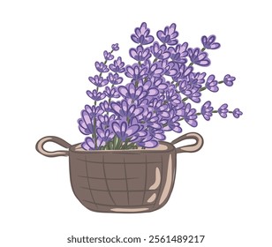 Hand drawn illustration of lavender flowers in a woven basket on a simple background