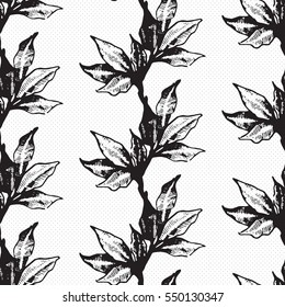 Hand drawn illustration of leaf. Decorative element at engraving style.