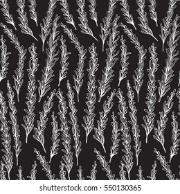 Hand drawn illustration of leaf. Decorative element at engraving style.