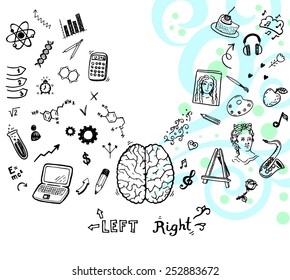 Hand drawn illustration of left and right brain function.