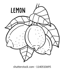 Hand drawn illustration of lemon.