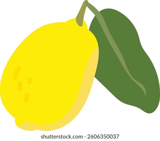 Hand drawn illustration of lemon