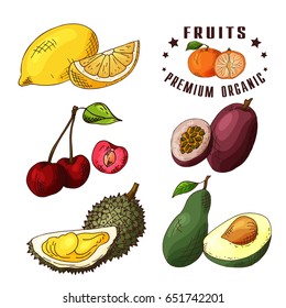 Hand drawn illustration of lemon, cherry, passionfruit, durian, avocado. Set of fruits. Colorful sketches elements
