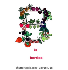 Hand drawn illustration Letter B is berries.Set of isolated European spring and summer  berries on white  background. 
