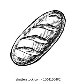 Hand drawn Illustration of long loaf in vintage engraved style. isolated on white. Top view