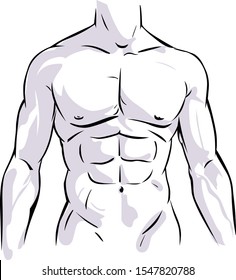 Hand drawn illustration of male torso. Vector illustration