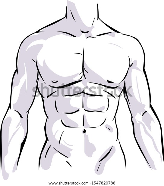 Hand drawn illustration of male torso.\
Vector illustration