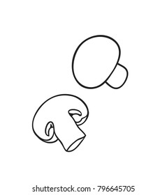 Hand drawn illustration mushroom. Creative ink art work. Actual vector drawing champignon