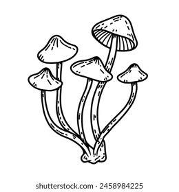 Hand drawn illustration of mushrooms. Design element for decoration. Vector illustration