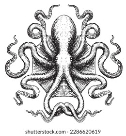 Hand drawn Illustration of an Octopus in a rough vintage style